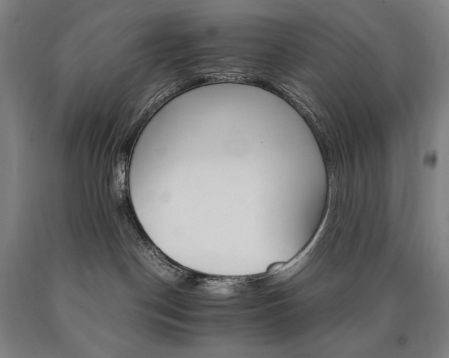 X0000090920190200707301540