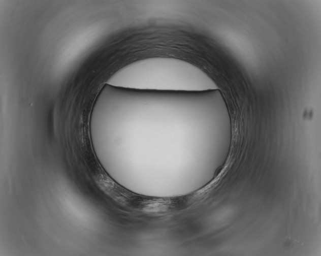 X0000090920191200707301540