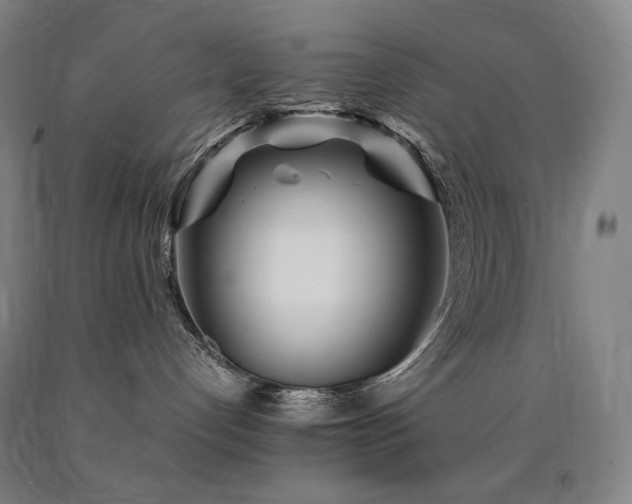 X0000090920192200707301540