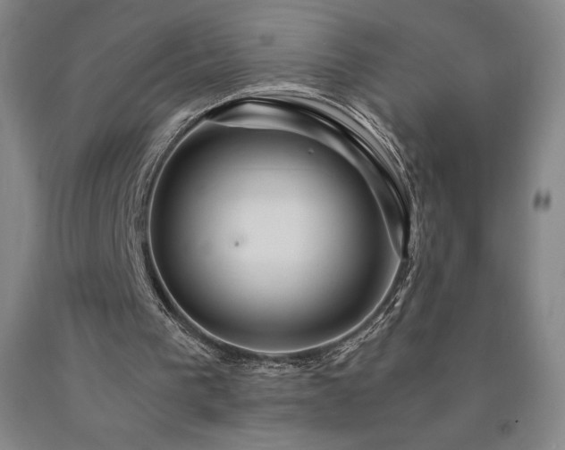 X0000090920193200707301540