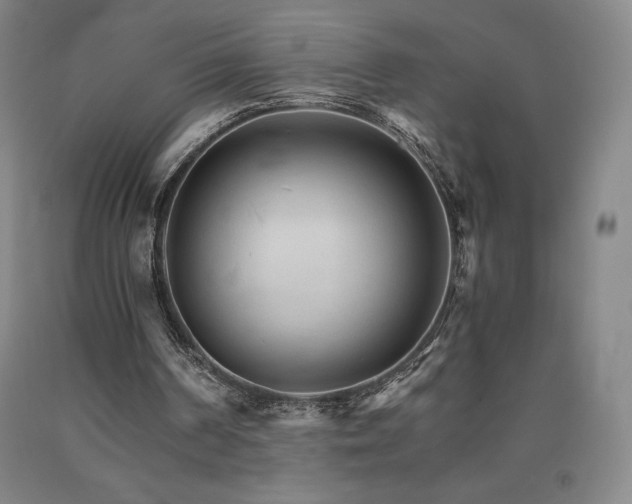 X0000090920194200707301540