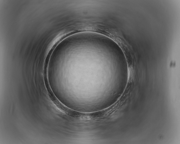 X0000090920195200707301540