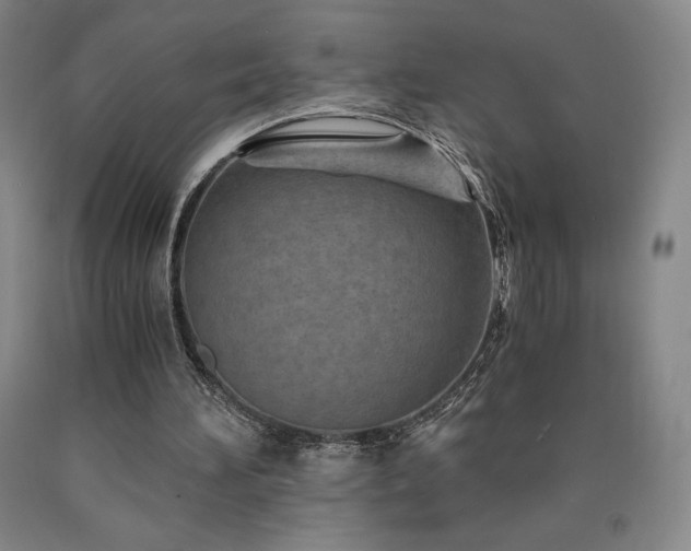 X0000090920196200707301540