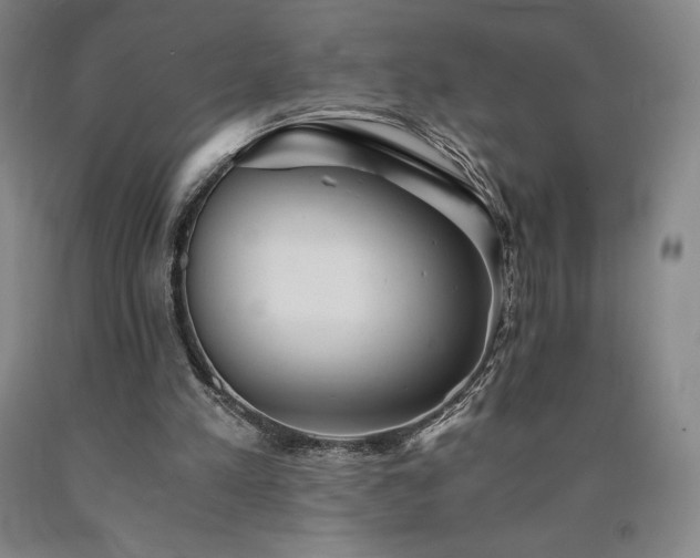 X0000090920197200707301540