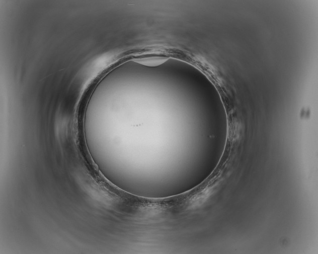 X0000090920198200707301540