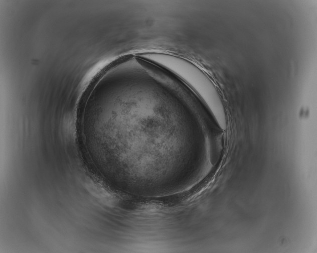 X0000090920200200707301540