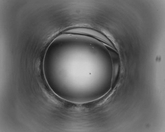 X0000090920201200707301540
