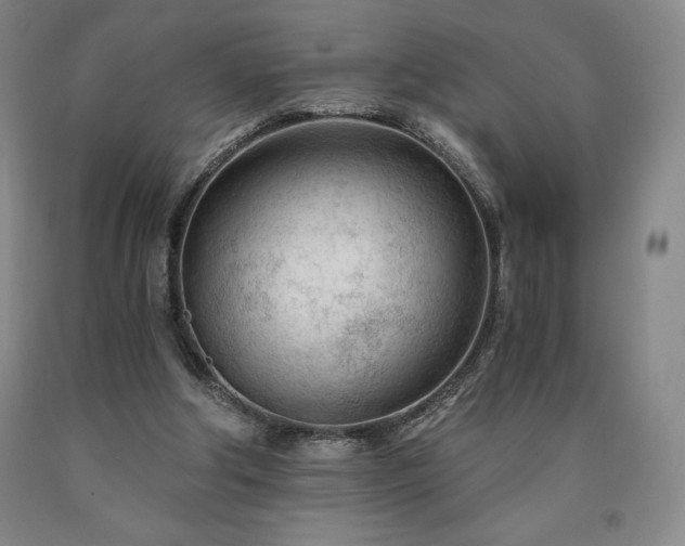 X0000090920202200707301540