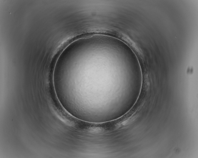 X0000090920203200707301540