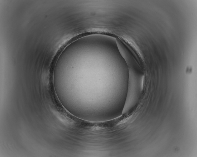 X0000090920204200707301540