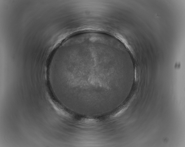 X0000090920205200707301540