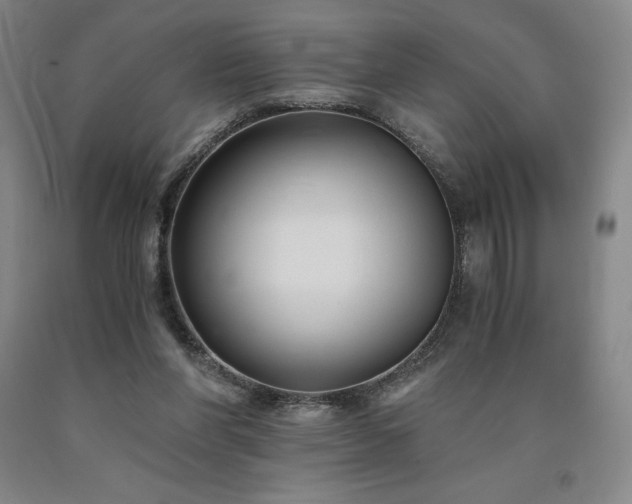 X0000090920206200707301540