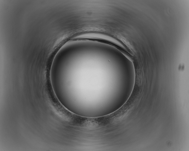 X0000090920207200707301540
