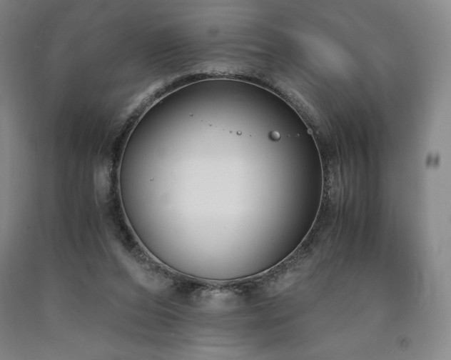 X0000090920208200707301540