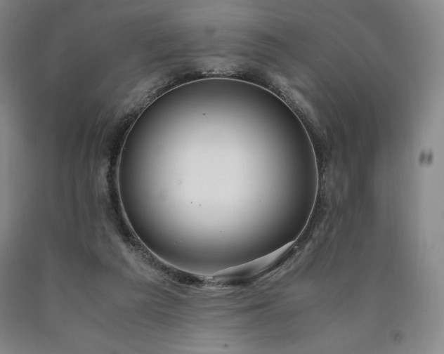 X0000090920209200707301540