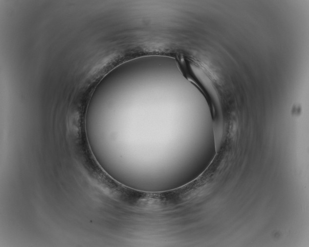 X0000090920211200707301540