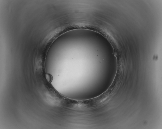 X0000090920212200707301540