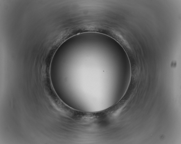 X0000090920213200707301540