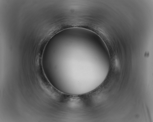 X0000090920214200707301540