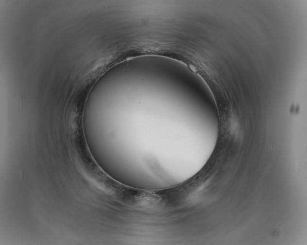 X0000090920215200707301540