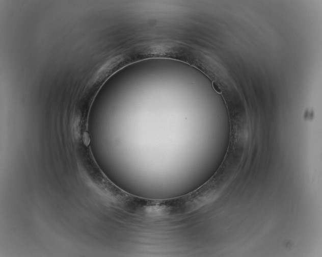 X0000090920216200707301540