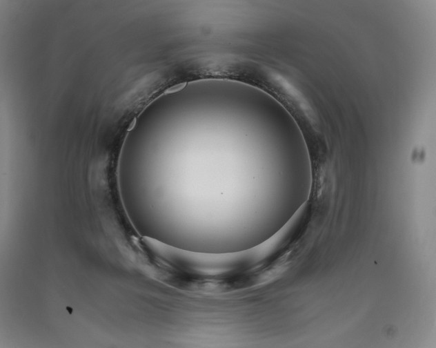 X0000090920217200707301540