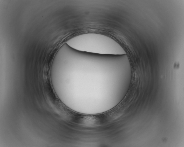 X0000090920218200707301540