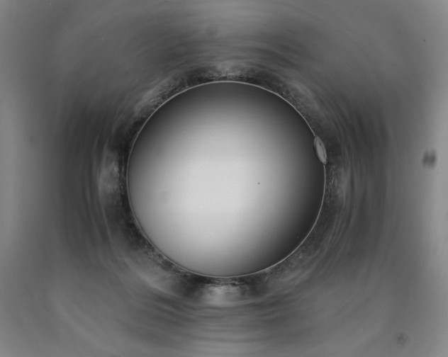 X0000090920220200707301540
