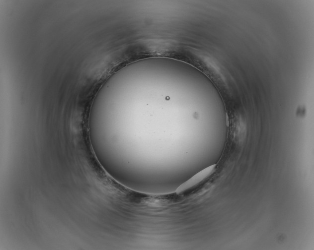 X0000090920221200707301540
