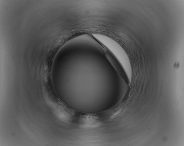 X0000090920223200707301539