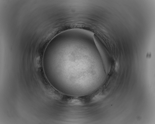 X0000090920224200707301539