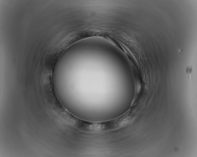X0000090920225200707301539