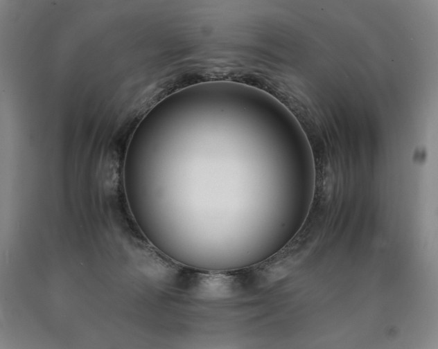 X0000090920226200707301539