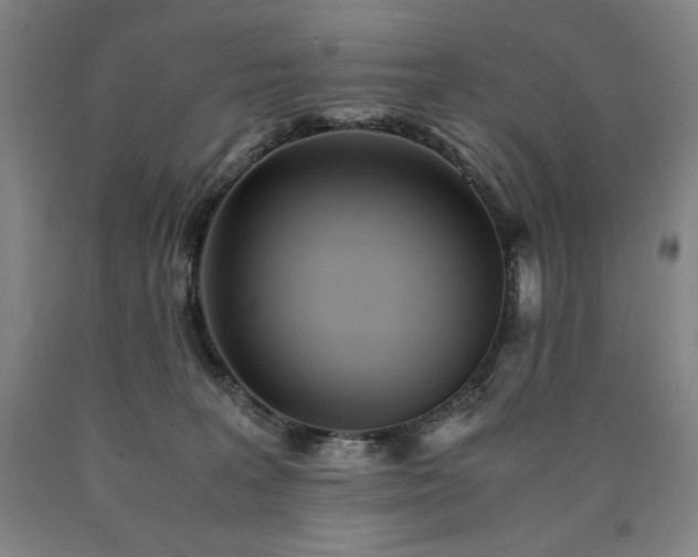 X0000090920227200707301539