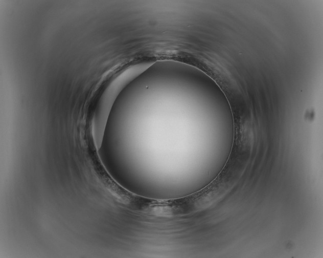 X0000090920228200707301539