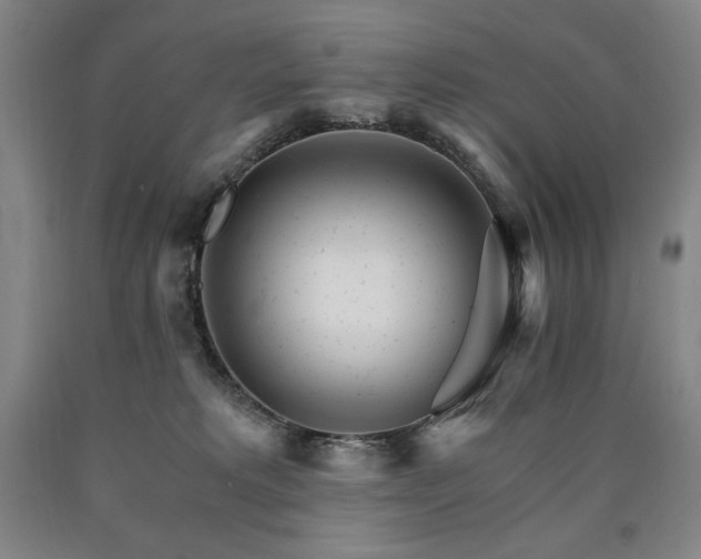 X0000090920229200707301539