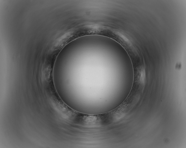 X0000090920230200707301539