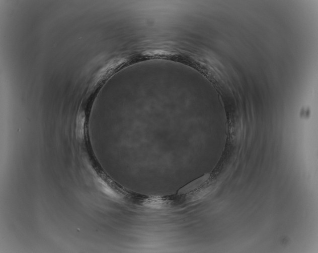 X0000090920231200707301539