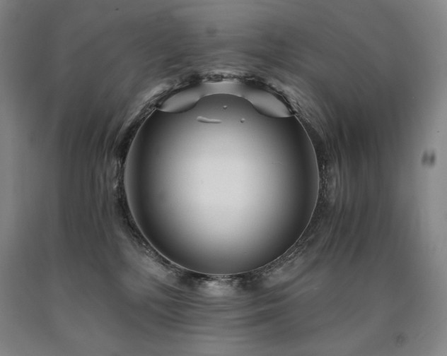 X0000090920232200707301539