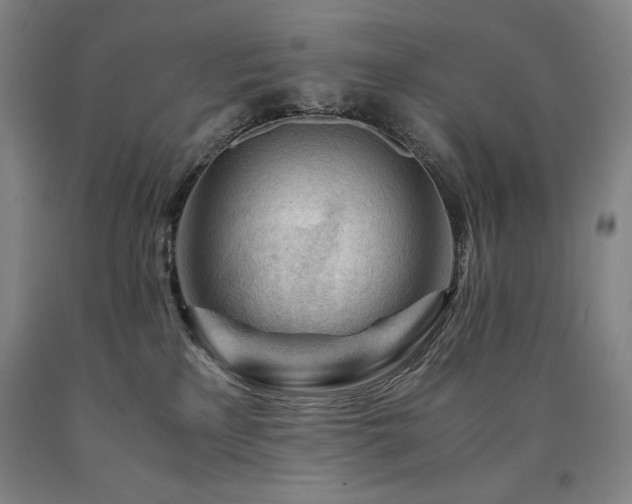 X0000090920233200707301539