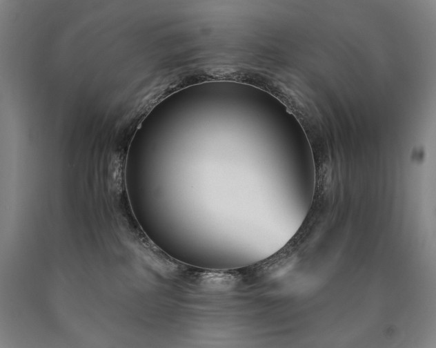 X0000090920234200707301539