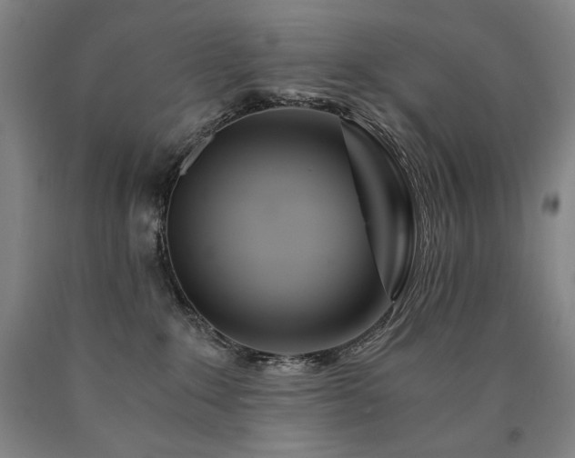 X0000090920235200707301539