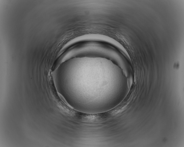 X0000090920237200707301539