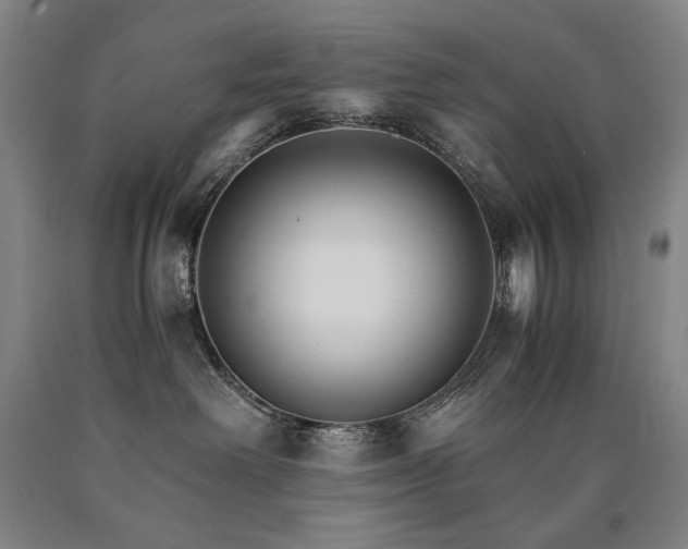 X0000090920238200707301539