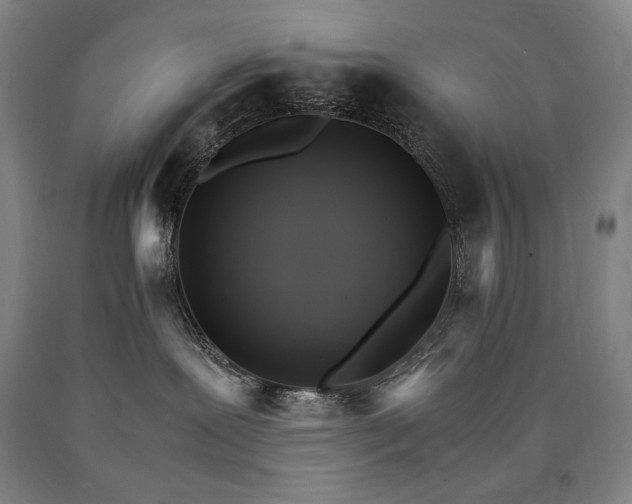 X0000090920239200707301539