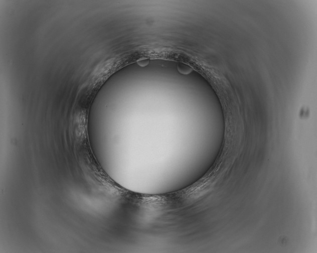 X0000090920240200707301539