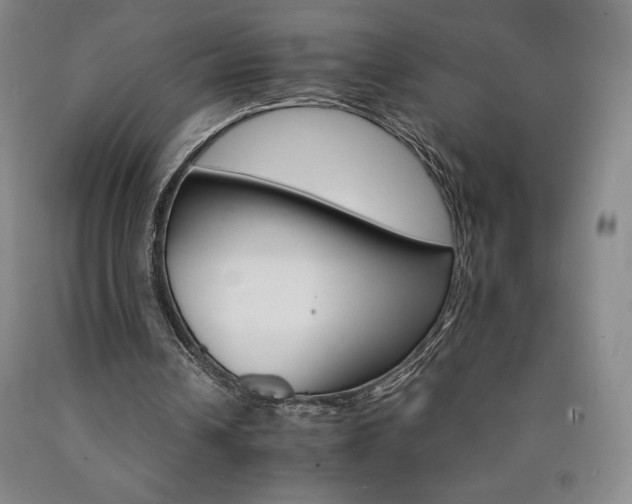 X0000090920242200707301539