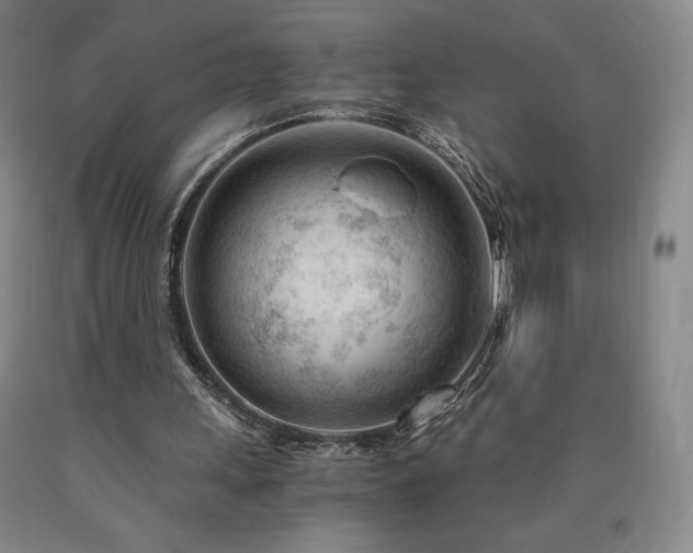 X0000090920243200707301539