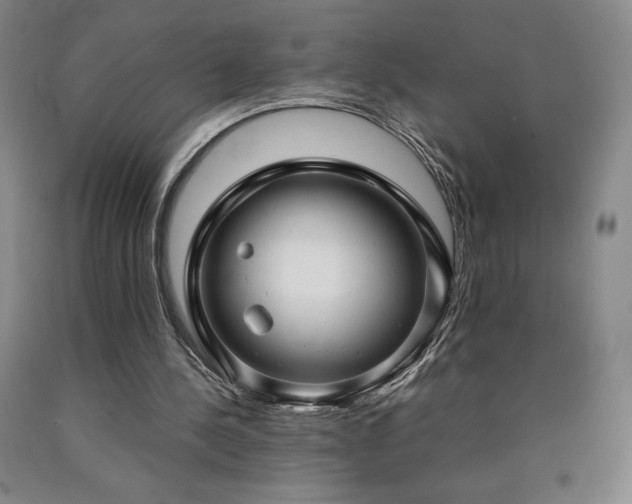 X0000090920244200707301539