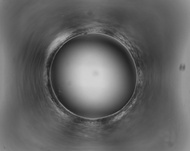 X0000090920245200707301539